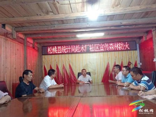 松桃統(tǒng)計(jì)局到世昌街道宣傳森林防火安全