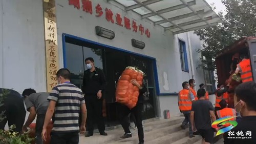 松桃捐贈(zèng)貴陽的抗疫物資已收到 已有序發(fā)放