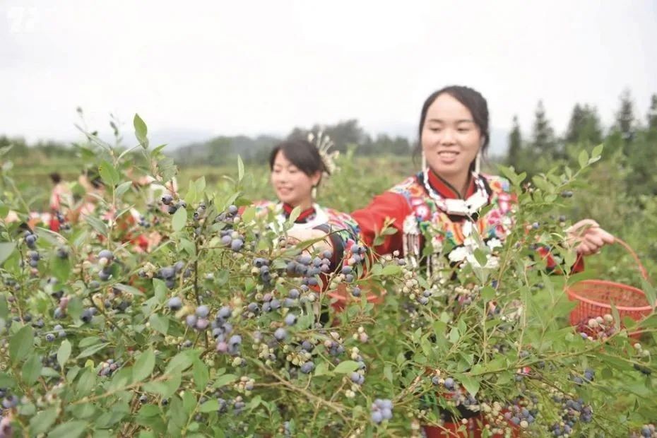 喜迎二十大丨松江兩岸滿目新