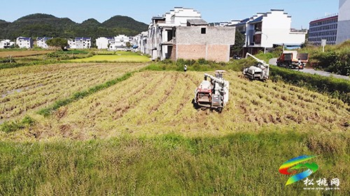 【新時代新征程新偉業(yè)】全程機械化讓傳統(tǒng)農(nóng)業(yè)跳起了“現(xiàn)代舞”