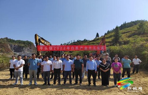 平頭鎮(zhèn)舉行2022年白茶產(chǎn)業(yè)開(kāi)工儀式