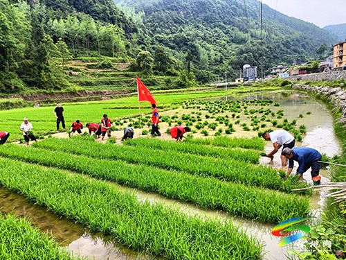 文明實(shí)踐典型案例 ⑧ |“三心”構(gòu)筑同心圓