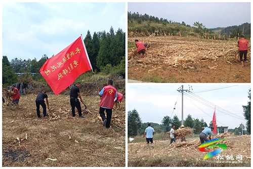 長興堡鎮(zhèn)：創(chuàng)新“四抓”工作法防火于未“燃”