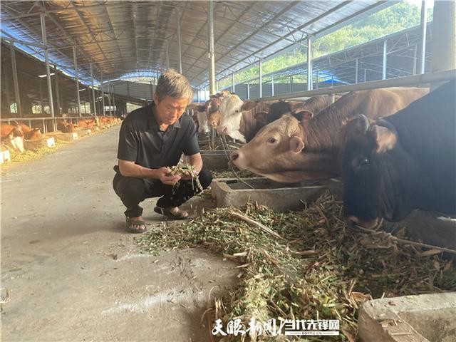【二十大代表風(fēng)采】冷朝剛：將幸福生活進(jìn)行到底