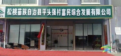 平頭鎮(zhèn)：黨建引領(lǐng)“1311”工作法，構(gòu)建鄉(xiāng)村治理“新格局”