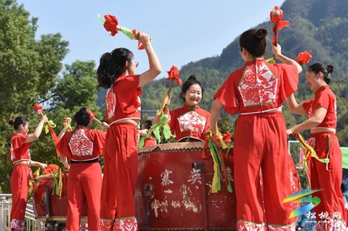 二十大時(shí)光：松桃 “非遺滾龍”舞起來