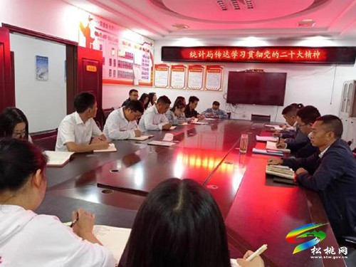 松桃統(tǒng)計局召開會議傳達學習貫徹黨的二十大精神