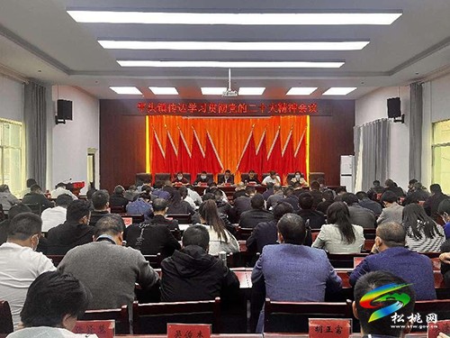 平頭鎮(zhèn)召開會(huì)議傳達(dá)學(xué)習(xí)貫徹黨的二十大精神