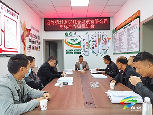迓駕鎮(zhèn)：推進高標準農田建設，助力鄉(xiāng)村振興