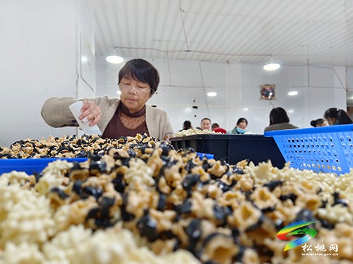 大路鎮(zhèn):家門口可就業(yè) 微工廠促增收