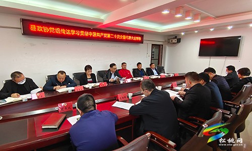 縣政協(xié)黨組召開會議傳達(dá)學(xué)習(xí)貫徹黨的二十大精神