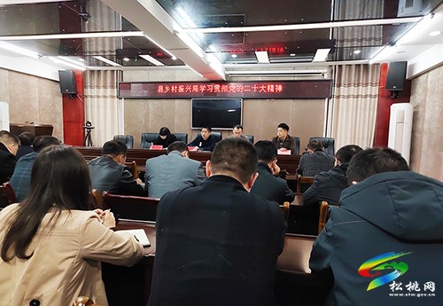 松桃鄉(xiāng)村振興局召開會議學習貫徹黨的二十大精神