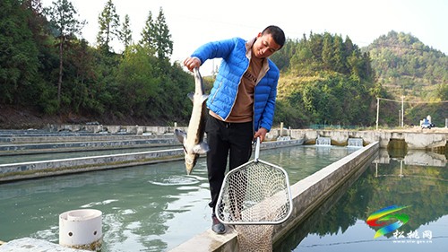 世昌街道：鱘魚養(yǎng)殖拓寬致富路
