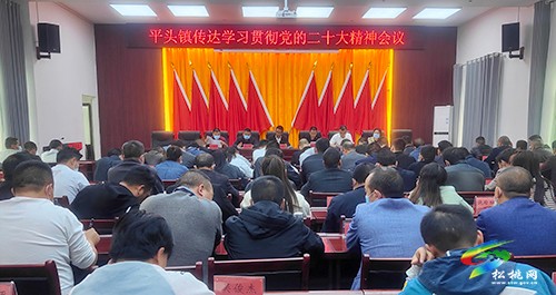 【“一把手”談貫徹落實黨的二十大精神】平頭鎮(zhèn)：矢志不渝 篤行不怠 奮力譜寫“四個平頭”高質(zhì)量發(fā)展新篇章