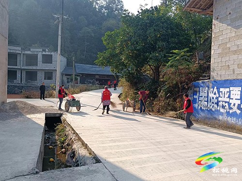 太平營街道：紅色馬甲 綠色行動(dòng) 扮靚美麗家園
