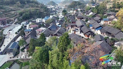 苗歌宣講二十大  “喇叭”響起傳萬家
