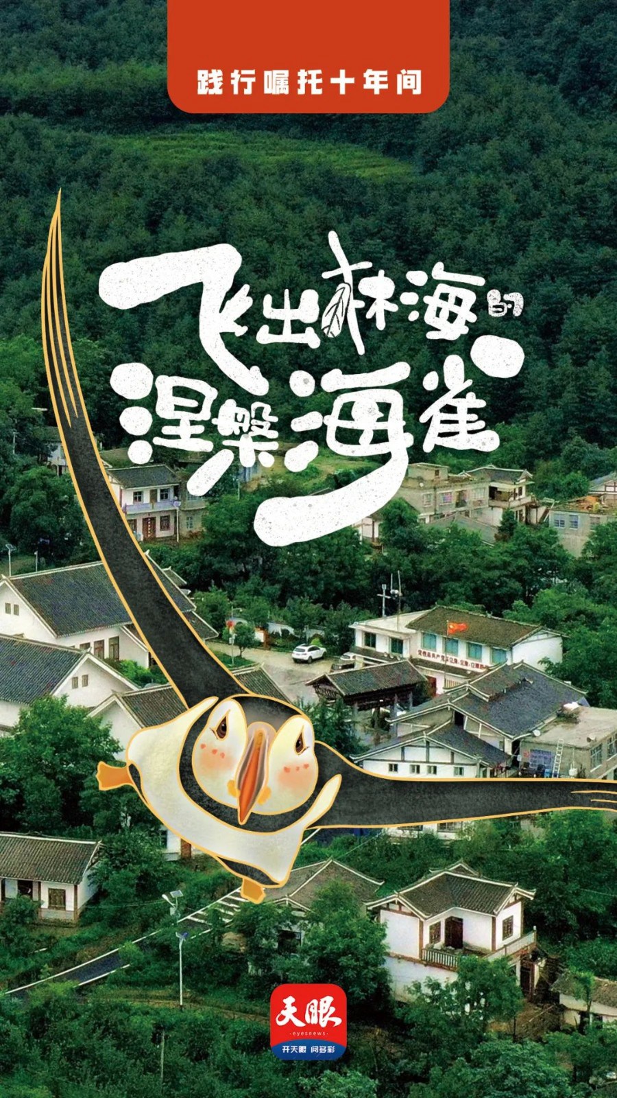 踐行囑托十年間 | 我叫海雀，翱翔海雀