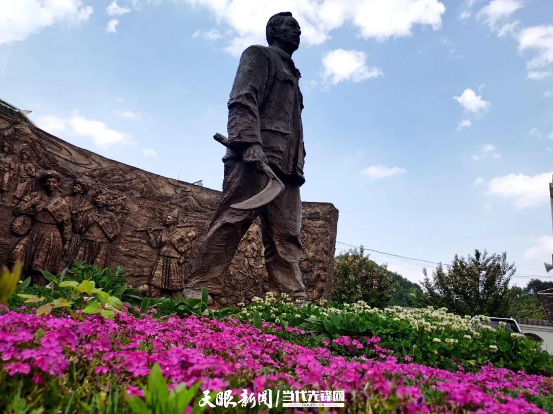 踐行囑托十年間 | 我叫海雀，翱翔海雀