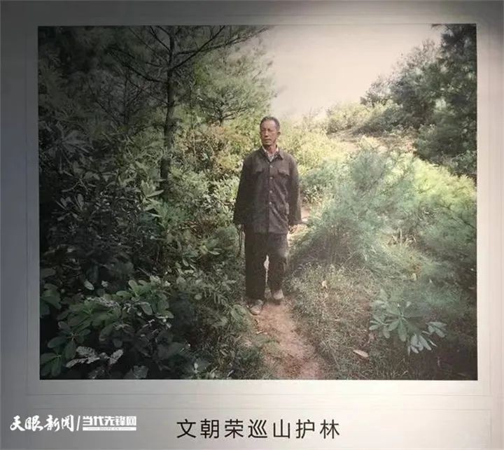 踐行囑托十年間 | 我叫海雀，翱翔海雀