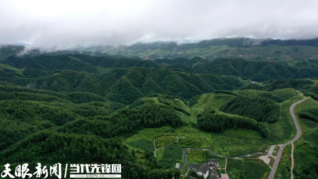 踐行囑托十年間 | 我叫海雀，翱翔海雀