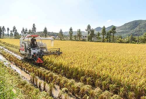 2022年第三季度“中國好人榜”發(fā)榜，松桃龍作宣入選