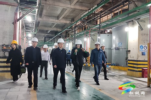 龍群躍率隊(duì)到云南勝威化工公司開(kāi)展招商引資考察