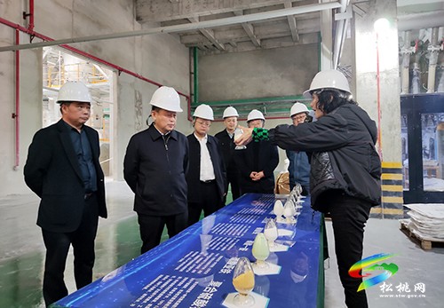 龍群躍率隊(duì)到云南勝威化工公司開(kāi)展招商引資考察