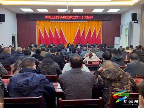 田筑玉到平頭鎮(zhèn)宣講黨的二十大精神