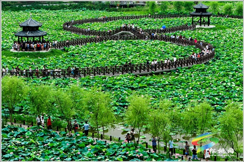 迓駕鎮(zhèn)：四大舉措助力鄉(xiāng)村文化振興