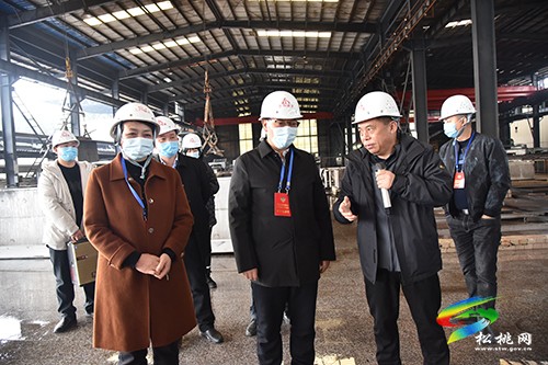 縣政協(xié)組織開展新型工業(yè)化專題視察