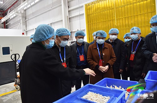 縣政協(xié)組織開展新型工業(yè)化專題視察