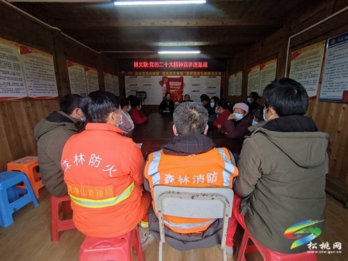 松桃：“1+1”宣講隊(duì)走進(jìn)桃花源景區(qū)