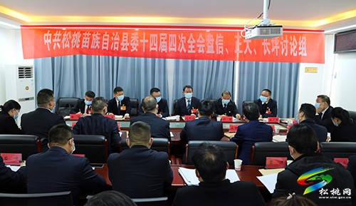 龍群躍參加盤信、正大、長坪討論組討論