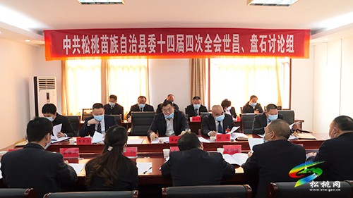 吳廷友參加世昌、盤(pán)石討論組討論