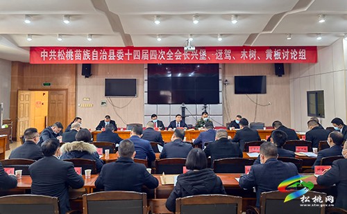 石敏參加長興堡、迓駕、木樹、黃板討論組討論