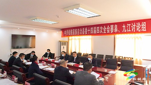 蓼皋、九江討論組召開分組討論