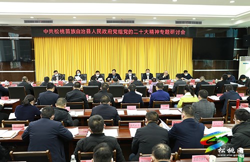 縣人民政府黨組召開黨的二十大精神專題研討會(huì)