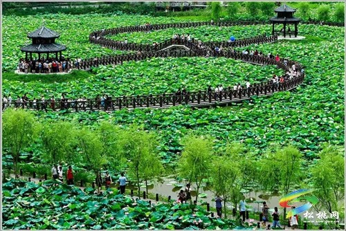 迓駕鎮(zhèn)：壯大集體經(jīng)濟 實現(xiàn)強村富民