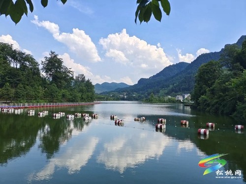 迓駕鎮(zhèn)：壯大集體經(jīng)濟 實現(xiàn)強村富民