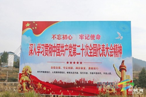 大路鎮(zhèn)：多舉措推動(dòng)黨的二十大精神落地生根