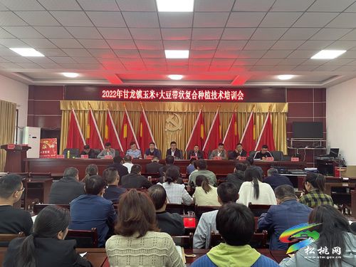 甘龍鎮(zhèn)：精準發(fā)力培育鄉(xiāng)村振興人才隊伍