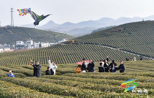 松桃：樂享春節(jié)假期