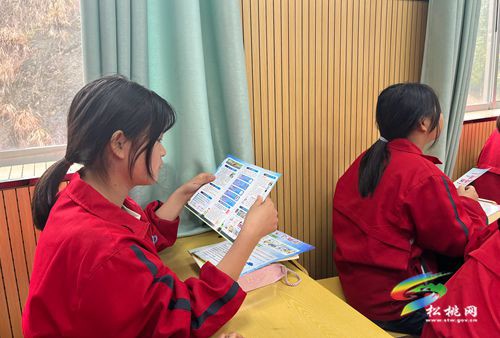 松桃：交通安全進(jìn)校園?高速沿線更安全