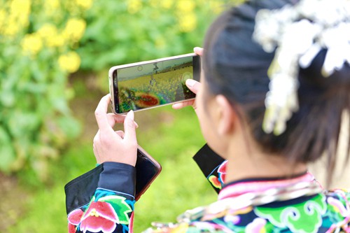 【多彩貴州·花漾中國】長興堡鎮(zhèn)：花開春意濃 苗家女子入畫中