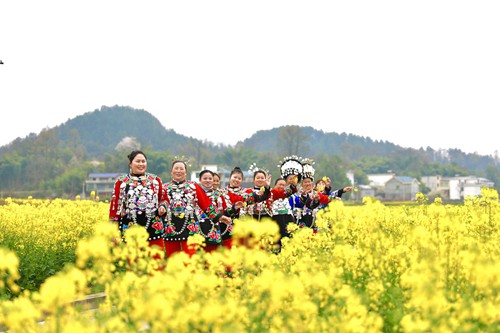 【多彩貴州·花漾中國】長興堡鎮(zhèn)：花開春意濃 苗家女子入畫中