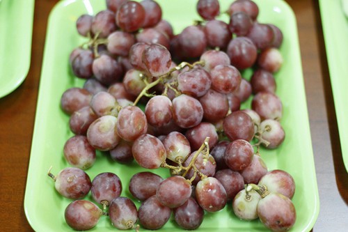 松桃第三幼兒園召開2023年春季學(xué)期膳食委員會(huì)
