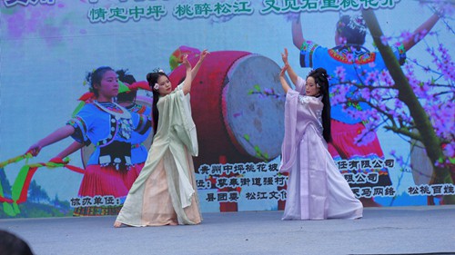 【多彩貴州?花漾中國】松桃：千畝桃花開 萬人赴盛宴