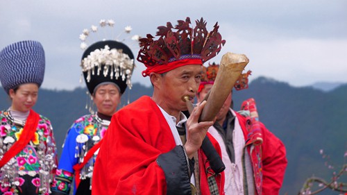 【多彩貴州?花漾中國】松桃：千畝桃花開 萬人赴盛宴
