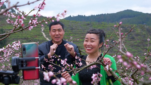 【多彩貴州?花漾中國】松桃：千畝桃花開 萬人赴盛宴