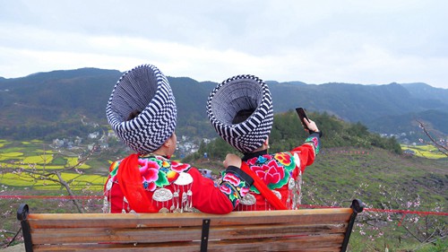【多彩貴州?花漾中國】松桃：千畝桃花開 萬人赴盛宴